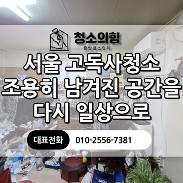 서울 고독사청소